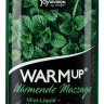 Массажное масло WARMup Mint с ароматом мяты - 150 мл. купить в секс шопе