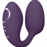Фиолетовое виброяйцо с дополнительной клиторальной стимуляцией Aika купить в секс шопе