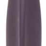 Фиолетовый клиторальный стимулятор Desire Blooms Rechargeable Clitoral Vibrator купить в секс шопе