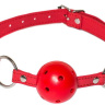 Красный кляп-шарик Firecracker купить в секс шопе