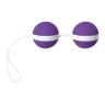 Фиолетово-белые вагинальные шарики Joyballs Bicolored купить в секс шопе