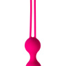 Набор вагинальных шариков различной формы и размера купить в секс шопе