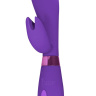 Фиолетовый вибратор Leyla с клиторальным отростком - 20,5 см. купить в секс шопе