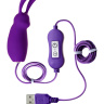 Фиолетовое виброяйцо с пультом управления A-Toys Bunny, работающее от USB купить в секс шопе