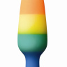 Радужная пробка Colours Pride Edition Pleasure Plug Small - 11 см. купить в секс шопе