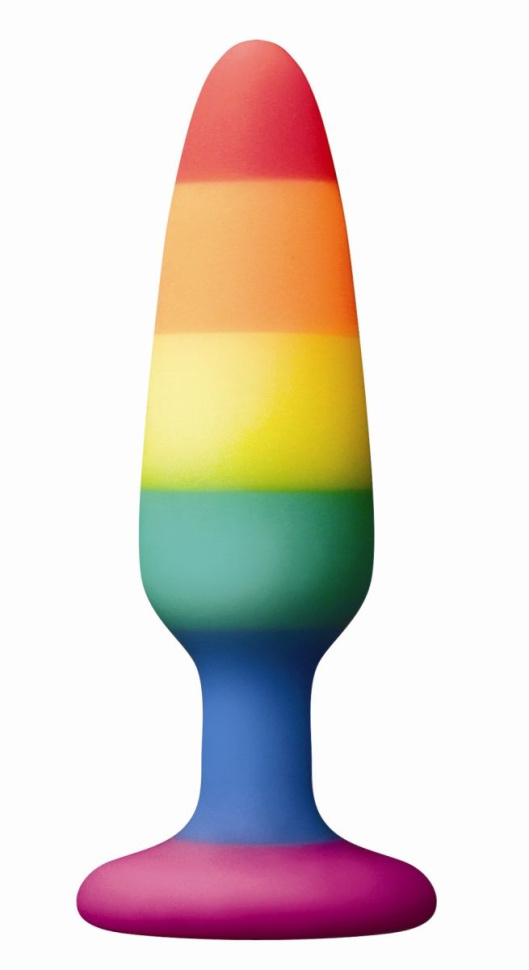 Радужная пробка Colours Pride Edition Pleasure Plug Small - 11 см. купить в секс шопе