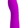 Лиловый перезаряжаемый мини-вибратор Abner - 11,8 см. купить в секс шопе