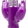 Фиолетовый вибратор Laci с двумя отростками по бокам - 23 см. купить в секс шопе