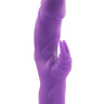 Фиолетовый вибратор с клиторальным стимулятором MATES FANTASY RECHARGE VIBRATOR - 17 см. купить в секс шопе