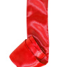Красная лента для связывания Wink - 152 см. купить в секс шопе