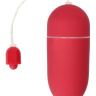 Красное гладкое виброяйцо Vibrating Egg - 8 см. купить в секс шопе