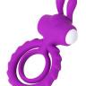 Фиолетовое эрекционное кольцо на пенис JOS  GOOD BUNNY купить в секс шопе