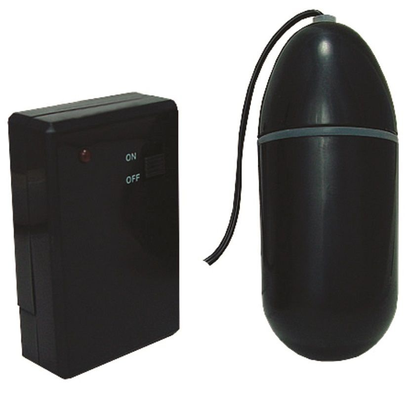 Чёрное виброяйцо Waterproof Remote Control Bullet с пультом ДУ купить в секс шопе