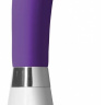 Фиолетовый вибратор для точки G или простаты Apollo - 20 см. купить в секс шопе