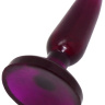 Фиолетовая анальная пробка HONEY DOLLS - 16 см. купить в секс шопе