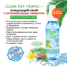 Очищающий спрей для игрушек CLEAR TOY Tropic - 100 мл. купить в секс шопе