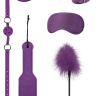 Фиолетовый игровой набор БДСМ Introductory Bondage Kit №4 купить в секс шопе