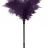 Пластиковая метелочка с фиолетовыми пёрышками Small Feather Tickler - 32 см. купить в секс шопе