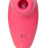 Розовый вакуумный стимулятор клитора PPP CHUPA-CHUPA ZENGI ROTOR купить в секс шопе