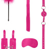 Розовый игровой набор Beginners Bondage Kit купить в секс шопе