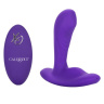 Фиолетовый вибромассажёр простаты Silicone Remote Pinpoint Pleaser купить в секс шопе