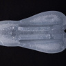Мастурбатор-вагина с пластинами для нагрева Men sMax ORB warmer купить в секс шопе
