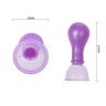 Фиолетовые вакуумные помпы для сосков с вибрацией купить в секс шопе