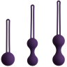 Набор из 3 фиолетовых вагинальных шариков Kegel Training Set купить в секс шопе