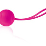 Ярко-розовый вагинальный шарик Joyballs Trend Single купить в секс шопе