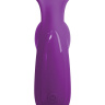 Фиолетовый вибростимулятор с 3 виброотростками Total Ecstasy купить в секс шопе