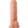 Гелевый фаллоимитатор-реалистик на присоске - 15,5 см. купить в секс шопе