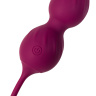 Бордовые вагинальные шарики Moussy с вибрацией и пультом ДУ купить в секс шопе