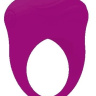Фиолетовое вибрирующее эрекционное кольцо Bertram  купить в секс шопе