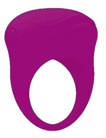 Фиолетовое вибрирующее эрекционное кольцо Bertram  купить в секс шопе