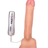Реалистичный вибратор с подошвой-присоской - 17 см. купить в секс шопе