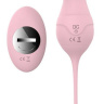 Нежно-розовые вагинальные шарики VAVA с пультом ДУ купить в секс шопе