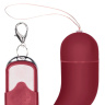 Красное виброяйцо Small Wireless Vibrating G-Spot Egg купить в секс шопе