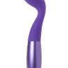 Фиолетовый вибратор Le Stelle PERKS SERIES EX-1 с 2 сменными насадками купить в секс шопе