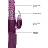 Фиолетовый вибратор-кролик Rotating Rabbit - 23 см. купить в секс шопе