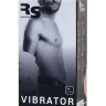 Телесный реалистичный вибратор Ian - 20 см.  купить в секс шопе