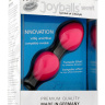 Розовые вагинальные шарики Joyballs Secret купить в секс шопе