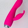 Розовый вибратор с клиторальным стимулятором L EROINA - 17 см. купить в секс шопе