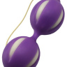 Фиолетовые вагинальные шарики купить в секс шопе