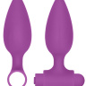 Фиолетовый анальный вибронабор USB-Rechargeable Anal Set купить в секс шопе