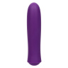 Фиолетовый перезаряжаемый вибромассажер T.C.B. Taking Care of Business - 10,25 см. купить в секс шопе