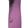 Фиолетовый вакуумный вибростимулятор клитора Ace купить в секс шопе