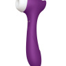 Фиолетовый клиторальный стимулятор Joy с функцией вибратора - 18,9 см. купить в секс шопе