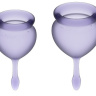 Набор фиолетовых менструальных чаш Feel good Menstrual Cup купить в секс шопе