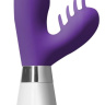 Фиолетовый вибратор-кролик Ares - 21 см. купить в секс шопе