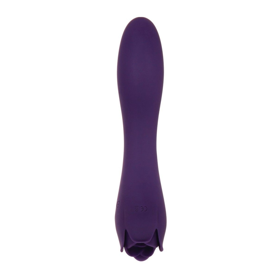 Фиолетовый двусторонний вибратор Thorny Rose - 20 см. купить в секс шопе